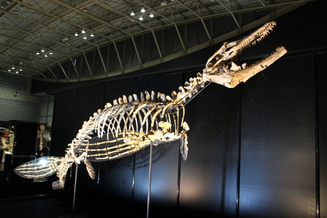大絶滅展