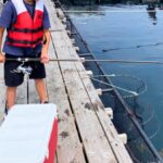 釣り堀での釣り